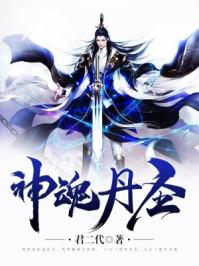 神魂丹圣TXT电子书